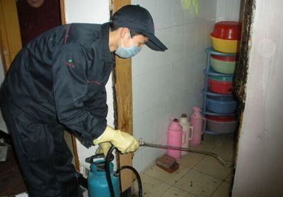 福州市福玖白蟻防治