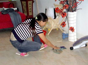 專業清潔服務，打造潔凈舒適的家居環境