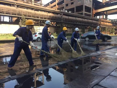 打頭陣 當先鋒 勇擔當——綜合服務公司全力推進清潔工廠創建行動